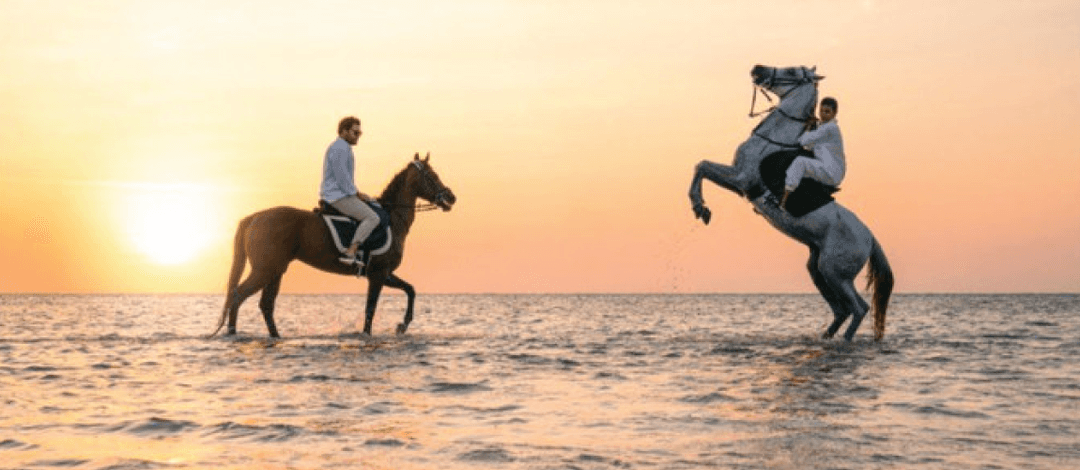 ركوب الخيل على البحر 